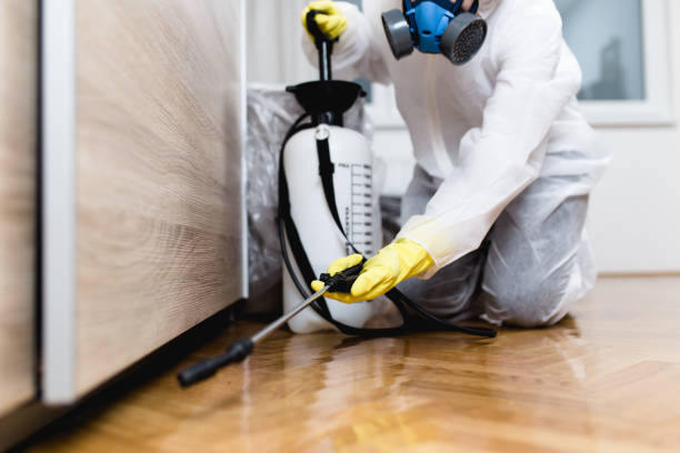 Best Commercial Pest Control Services  in Layton, UT