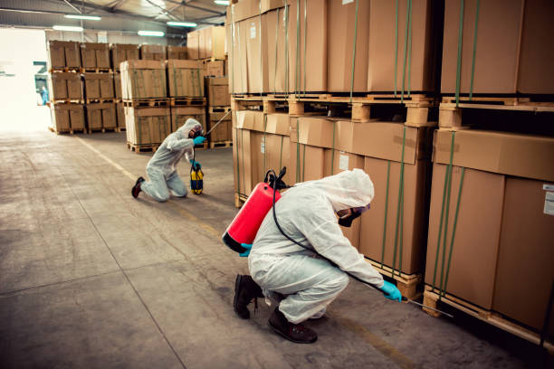Best Pest Control Near Me  in Layton, UT