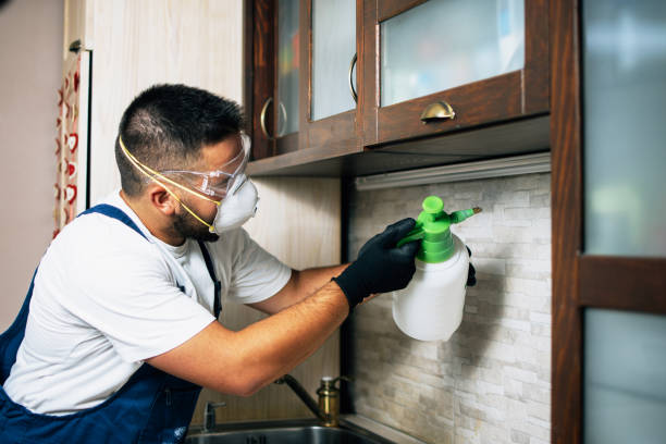 Best Best Pest Control Companies  in Layton, UT