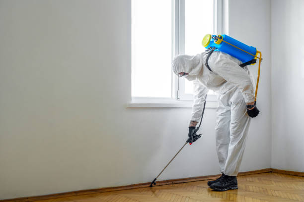 Best Affordable Pest Control Services  in Layton, UT
