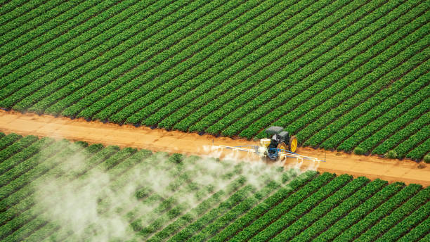 Best Pest Control for Businesses  in Layton, UT